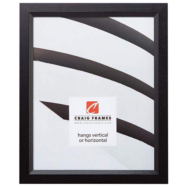 Craig Frames 7171610BKC1927AAC 0.825-Inch Wide Picture/Poster Frame in Wood Grain Finish, 19 by 27-Inch, Solid Black