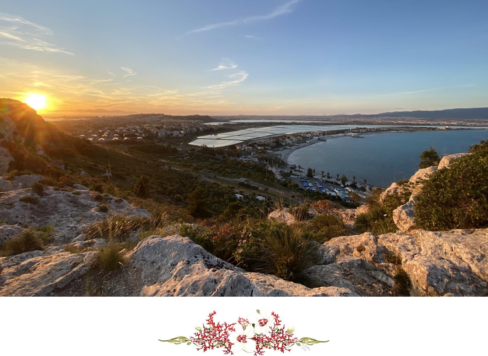 The Wedding Website of Tommaso Pozzetti and Elena Puddu