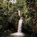 El Yunque National Forest