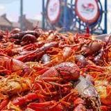 Mudbug Madness Festival