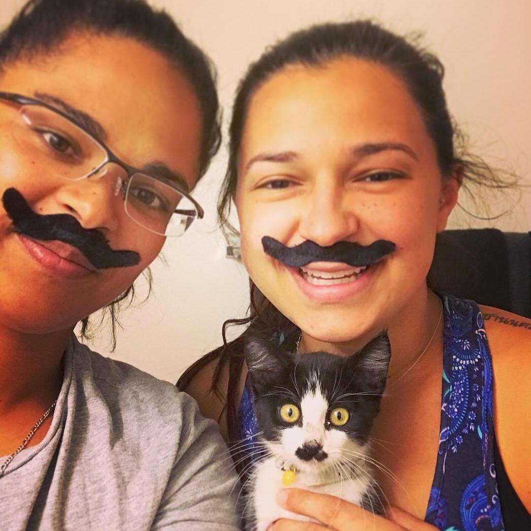 We adopted a cat named Sinor Luigi