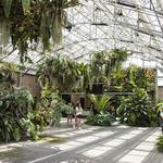 San Diego Botanic Garden