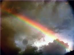 The Wedding Website of Christa Murphy and Rachel Hopkins