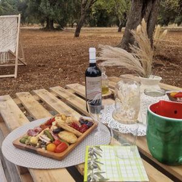 Olive Grove & Estate Tour