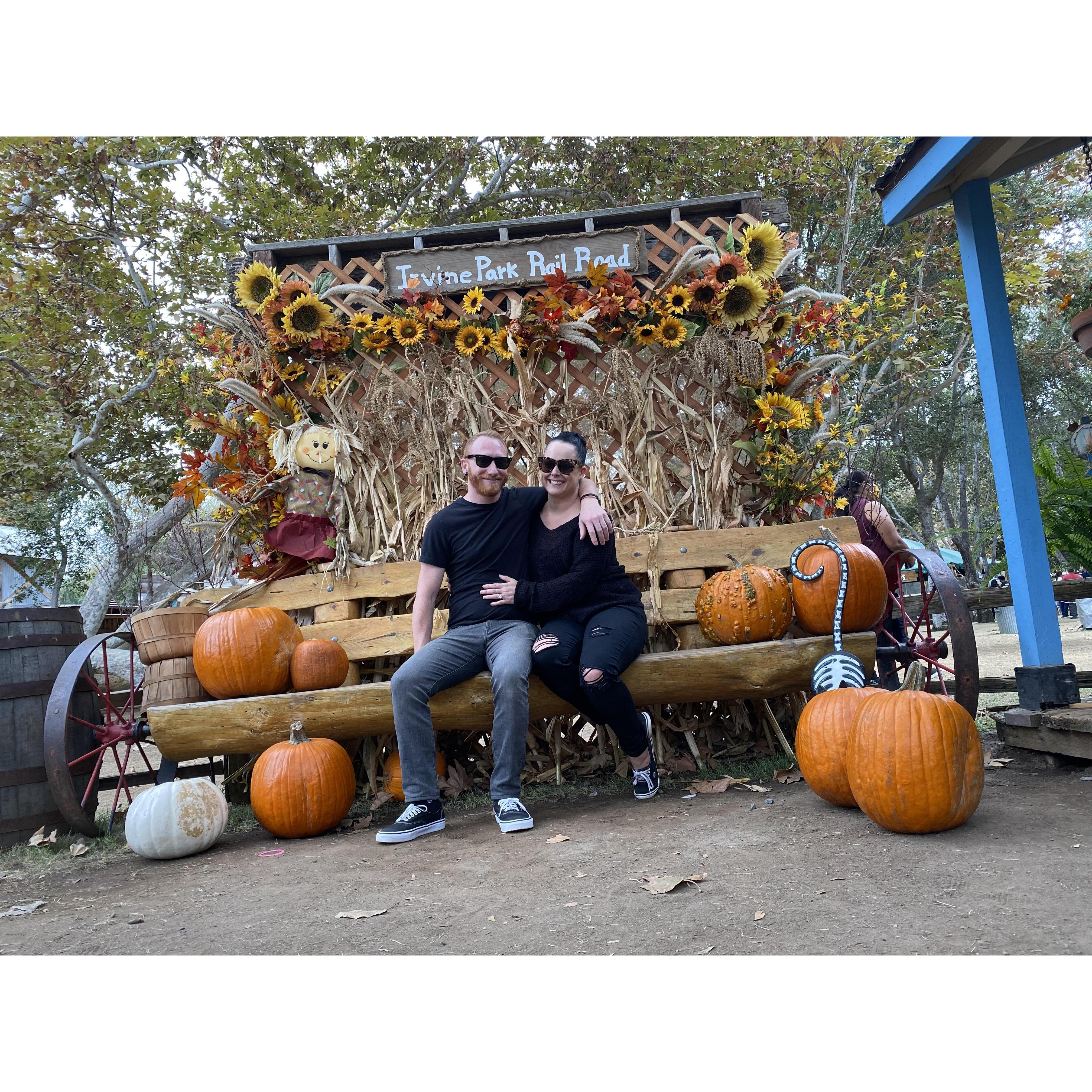 Pumpkin patch adventures #1