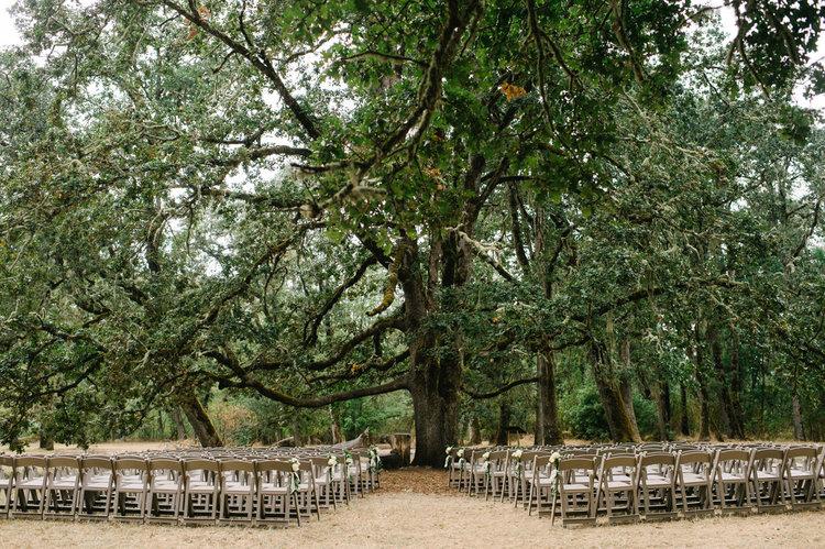 The Wedding Website of Heidi Garcia and Gerardo Herrera Garcia