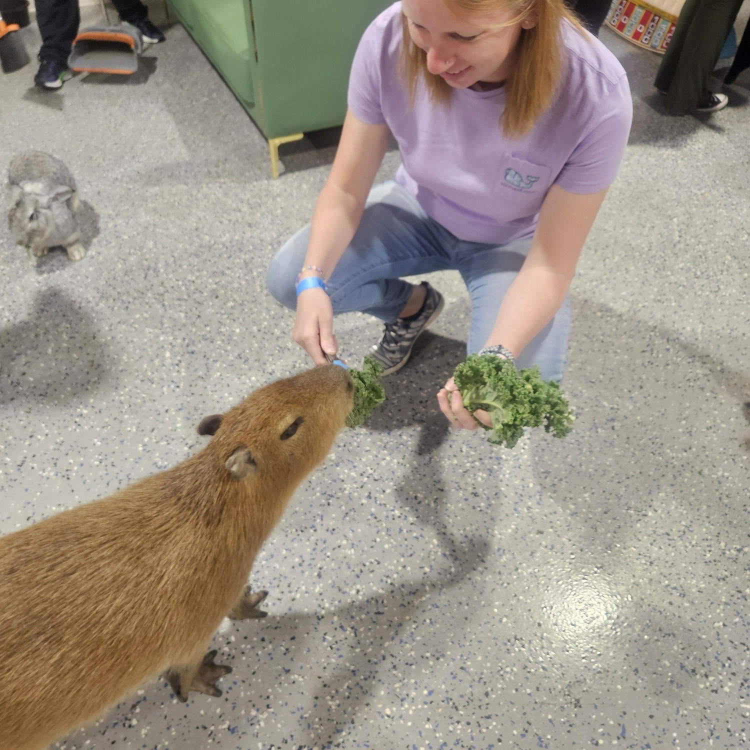 Feeding capybaras!!!