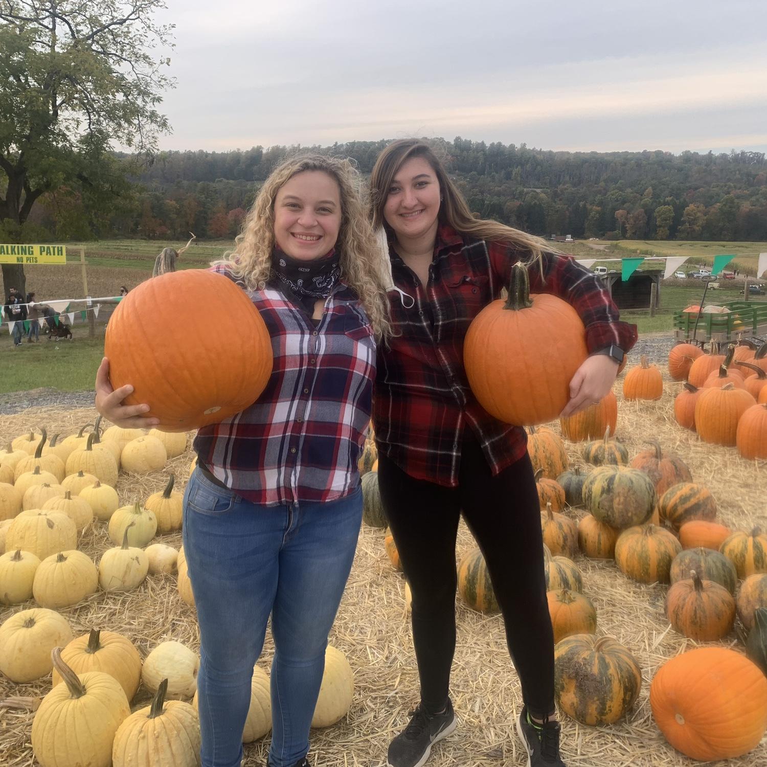 Our annual pumpkin picking at Mazezilla!