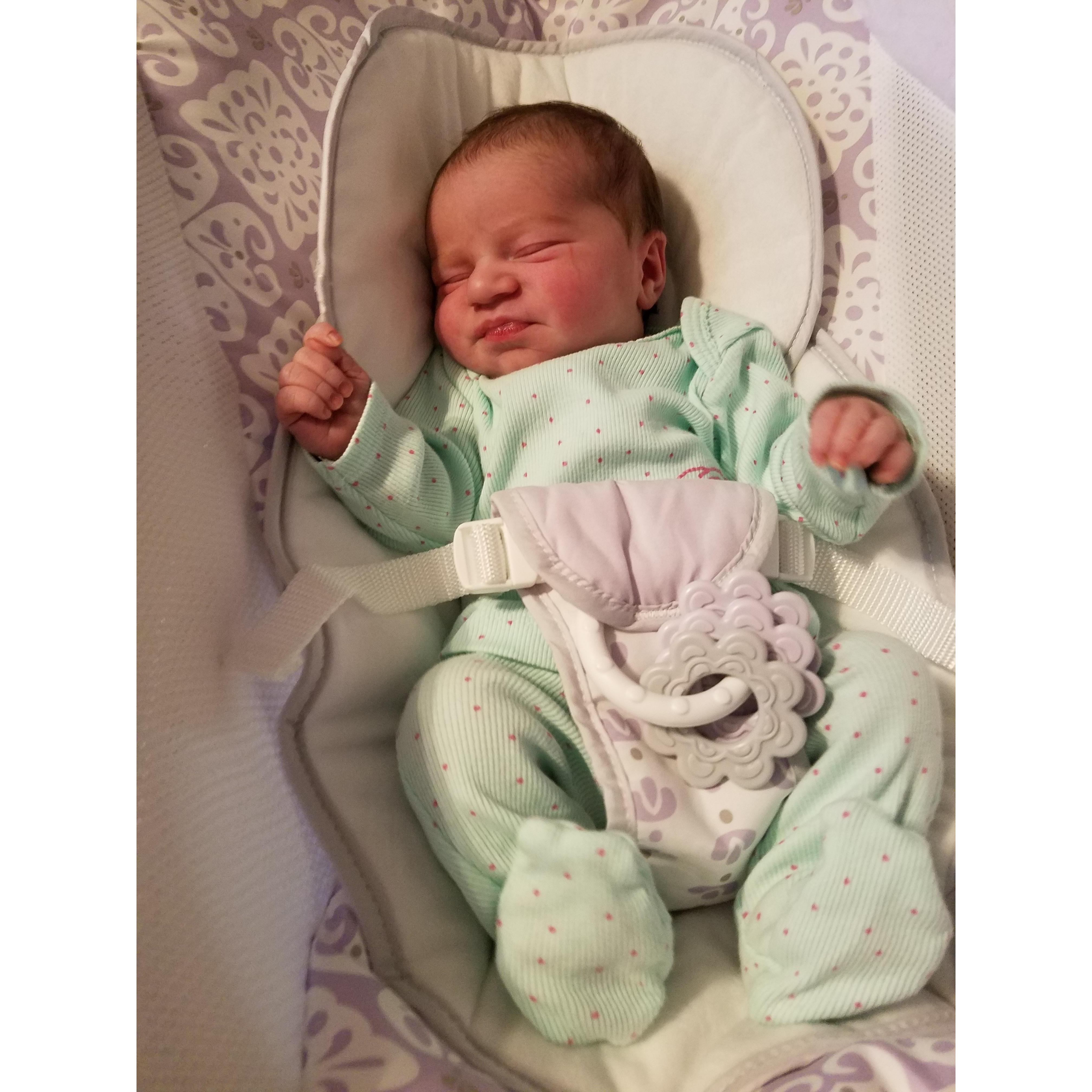 First picture of Luna once we got home from the hospital. Oct 2018