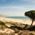 Beaches
