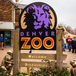Denver Zoo