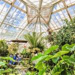 San Francisco Botanical Garden