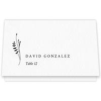 Place Card