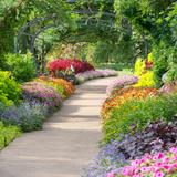 Cheekwood