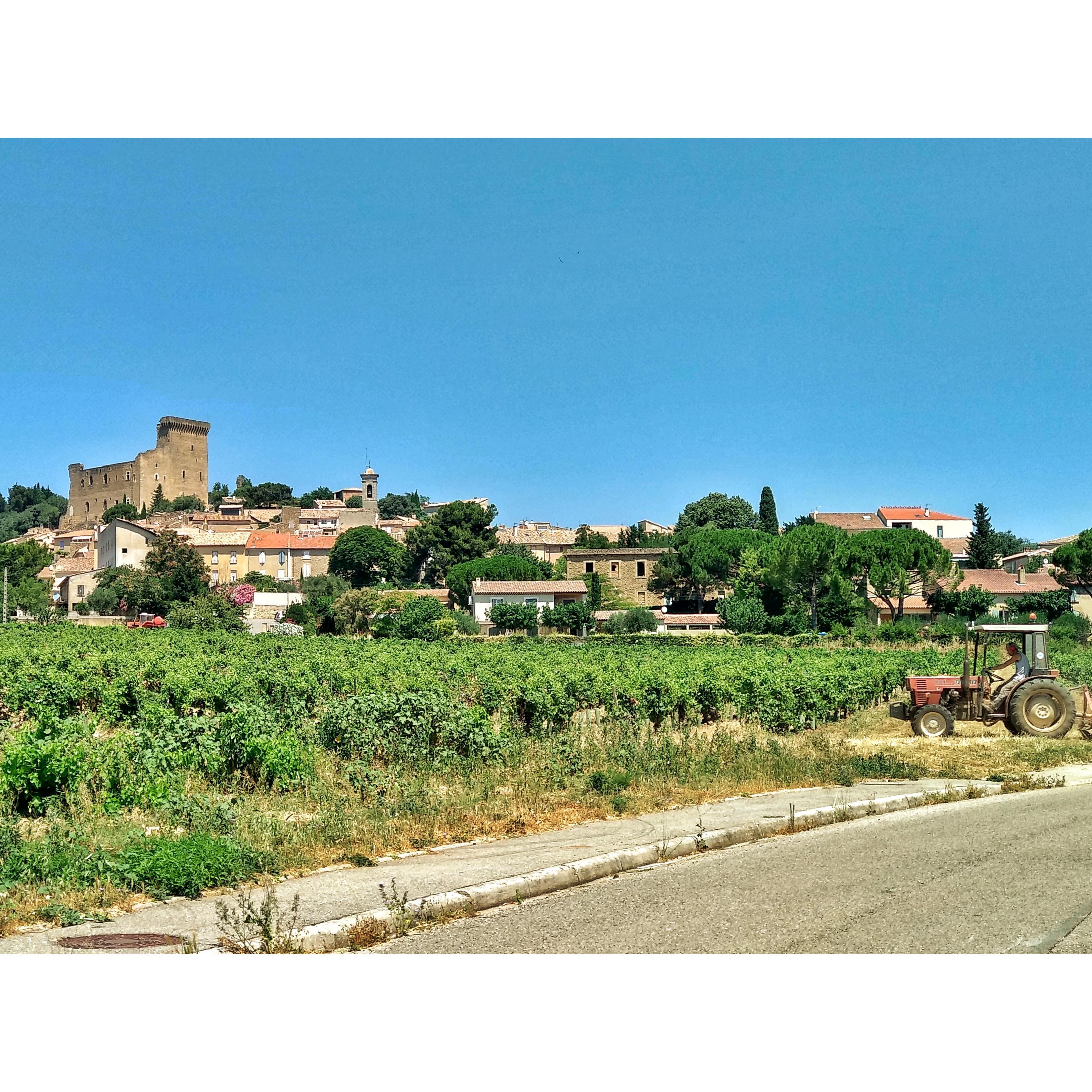 The village of Châteauneuf-du-Pape