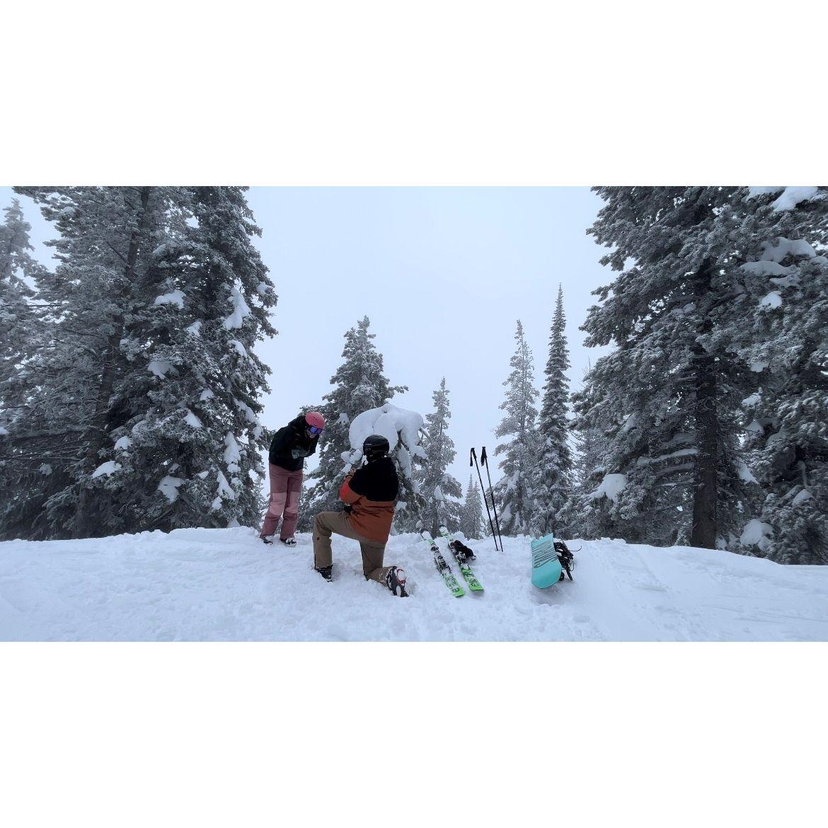 Engagement at Schweitzer! 2024