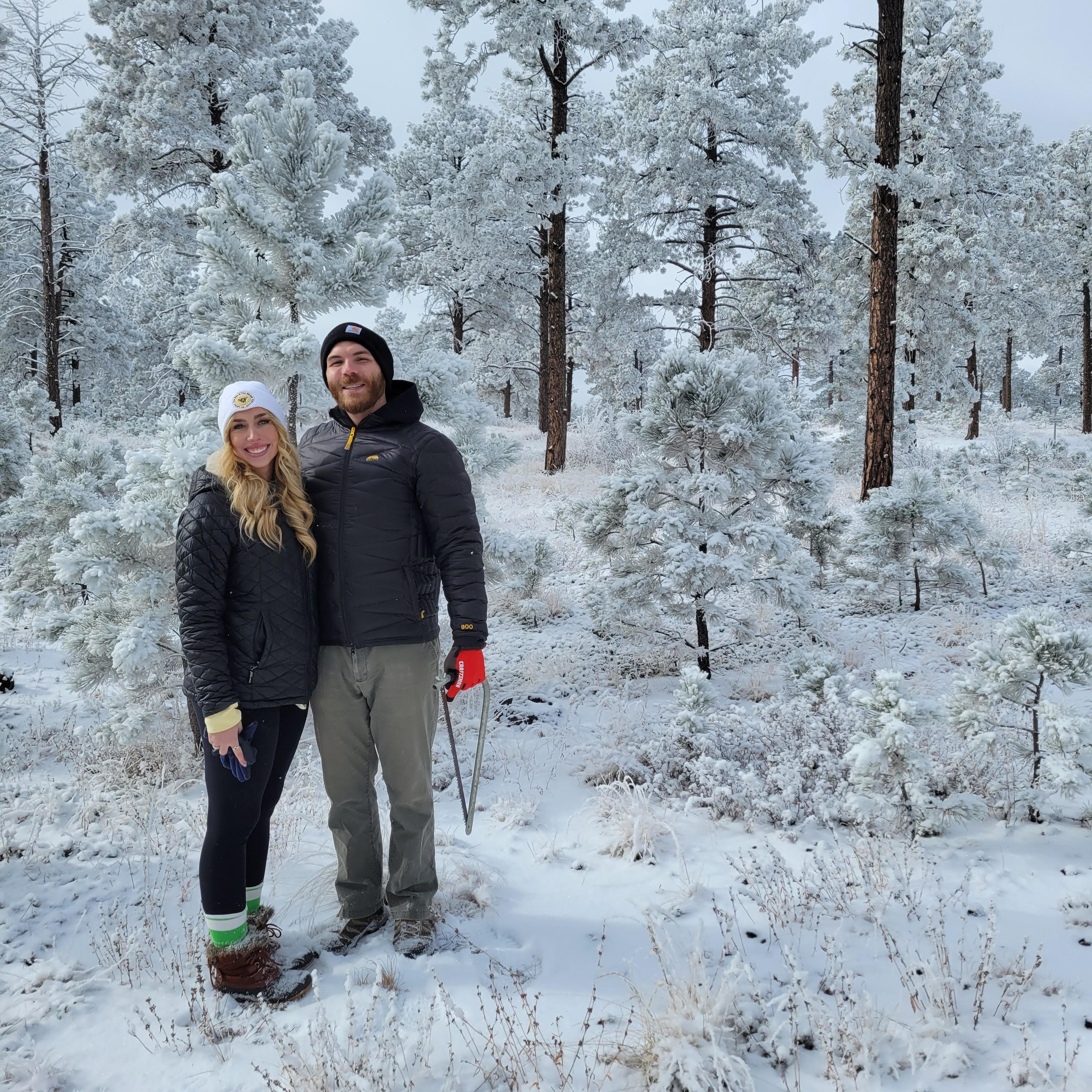 Christmas tree chopping