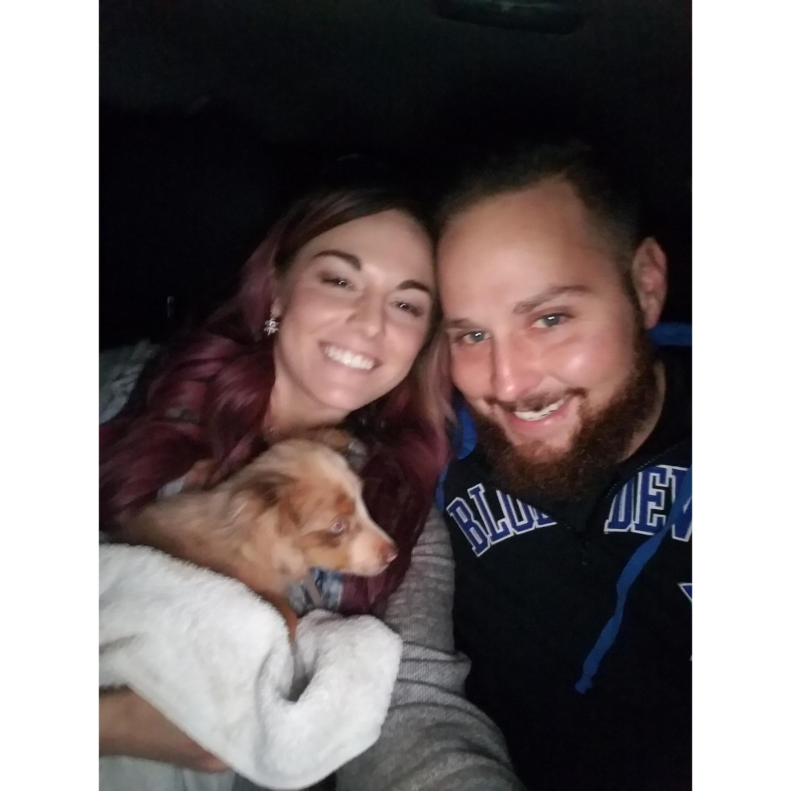 The night we added Mr. Bo to the family