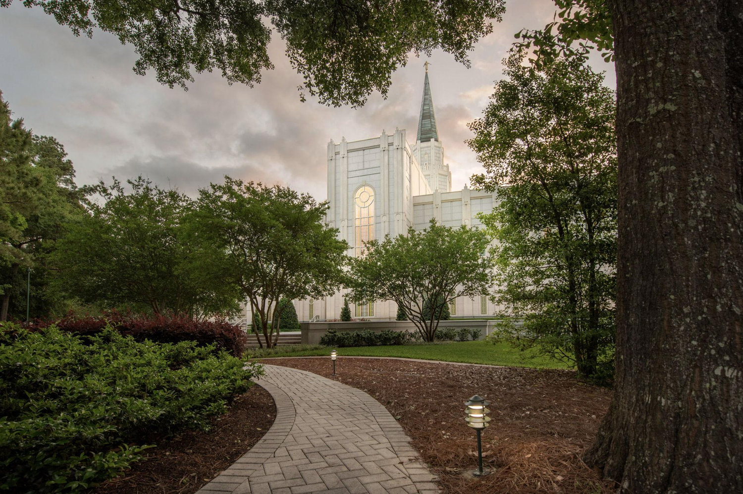 The Wedding Website of Sydney Johnston and William Mosley