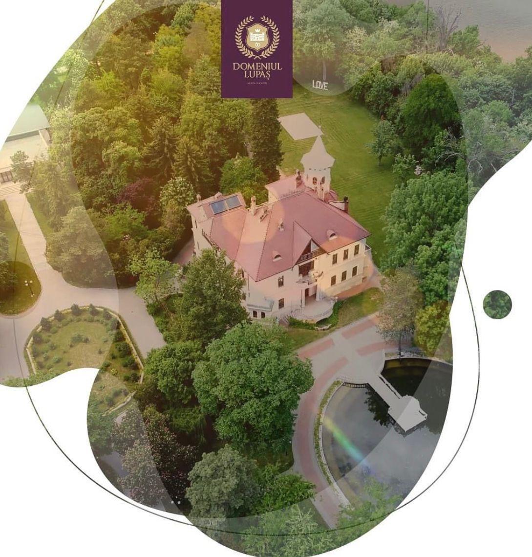 The Wedding Website of Andreea Pontos and Dominic Ciucla
