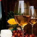 Wine tasting, Tour Napa Napa, CA Home