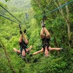 Vallarta Adventures Tours