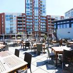 The Gulch