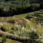 Schermeister Winery