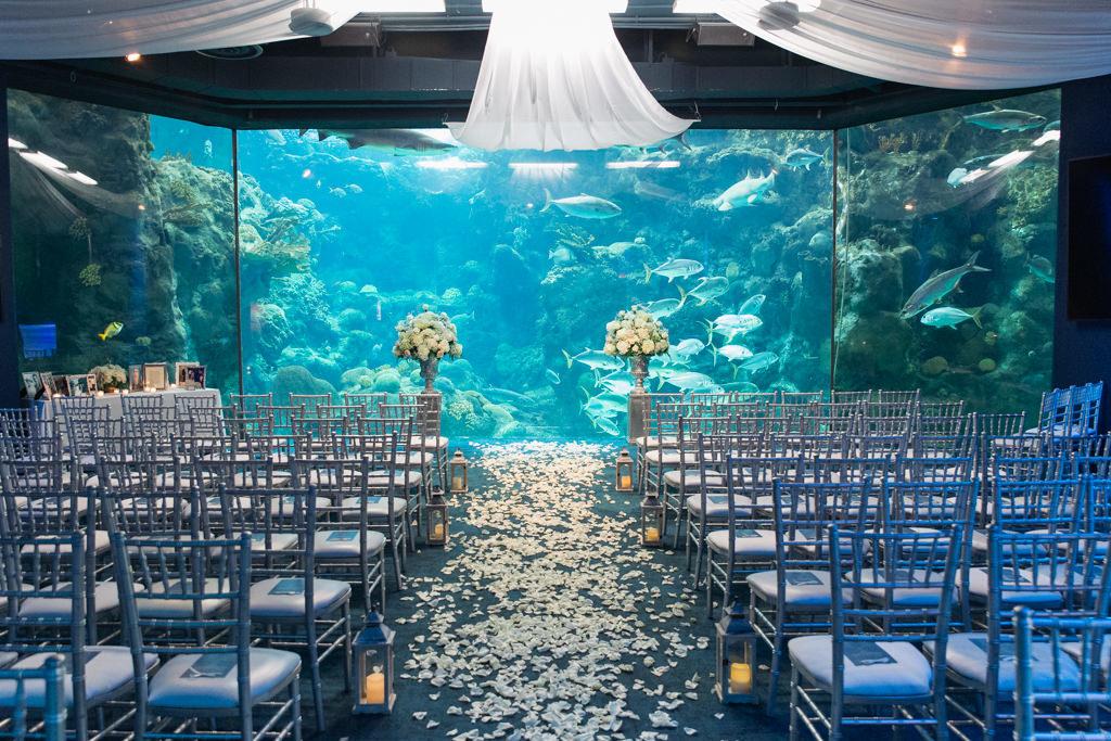 The Wedding Website of Alexis Capestany and Tyler Groves