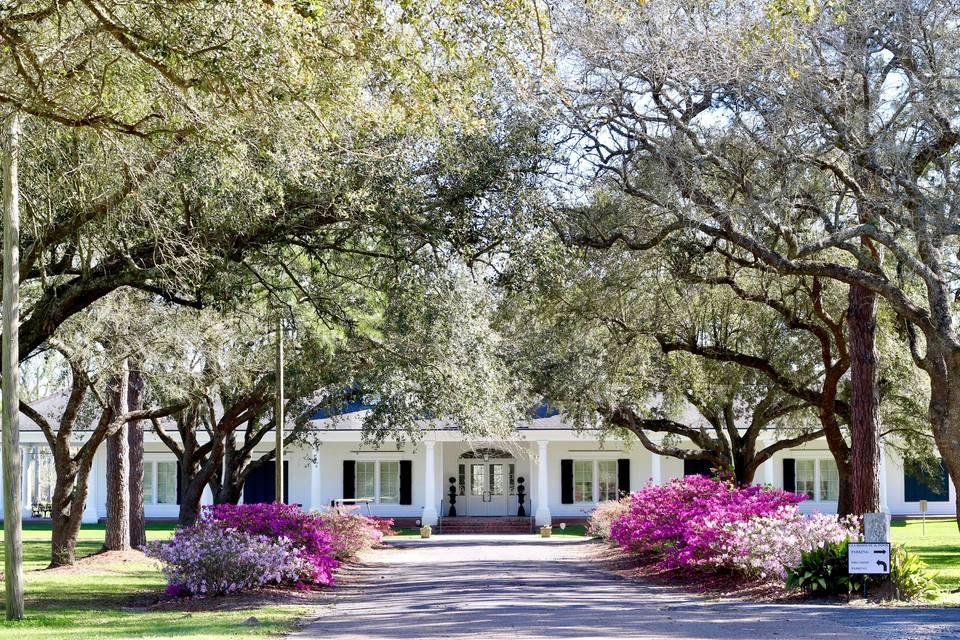 The Wedding Website of Taylor Boudreaux and Alexander Davis