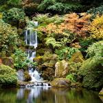 Portland Japanese Garden