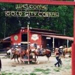 Carriage and Horse Rides at Forest Hills Resort