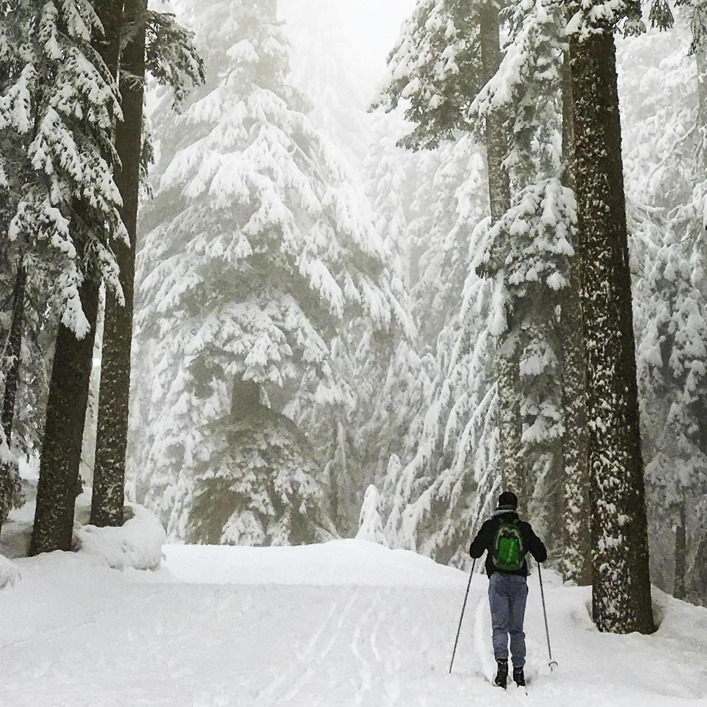 Cross Country Skiing - Vancouver, Canada