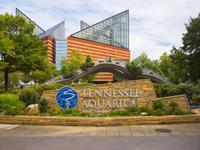 Tennessee Aquarium