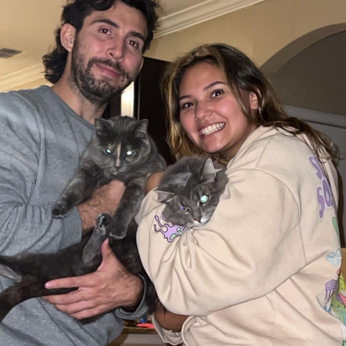 The kitties love being held!