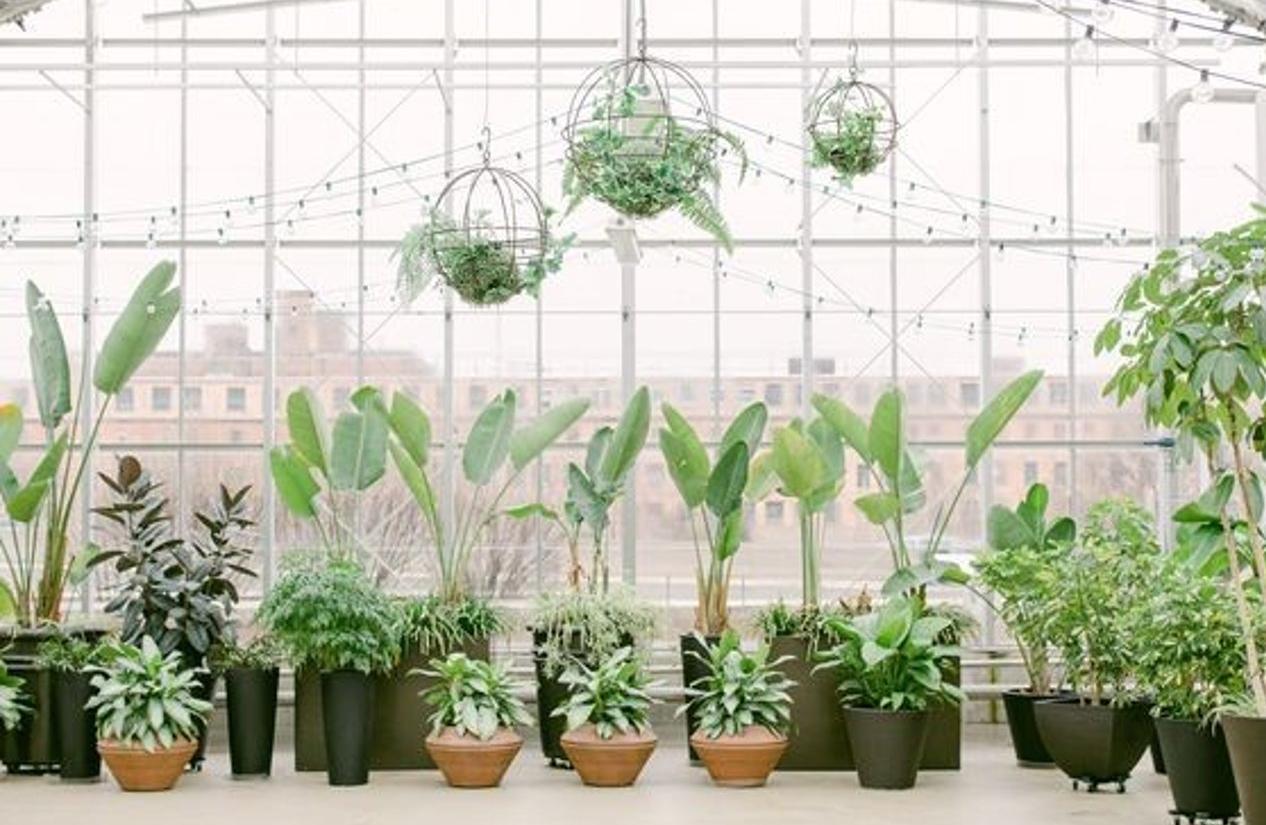 The Wedding Website of Madison Veneklase and Kevin Arevalo