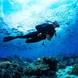 Mactan Scuba Dive Center