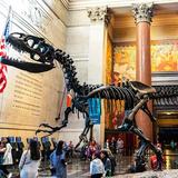 American Museum of Natural History
