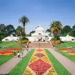 Golden Gate Park