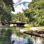 Brackenridge Park Trail