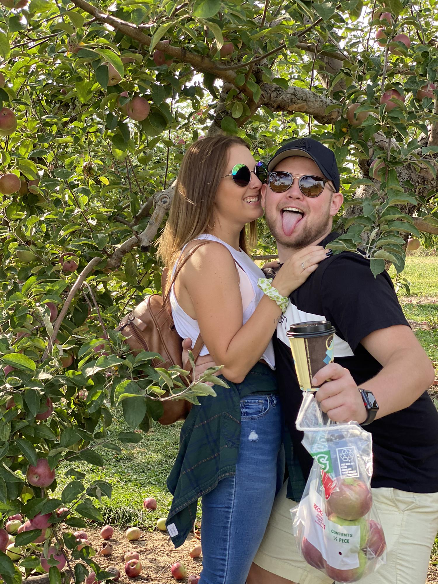 Apple picking year 2