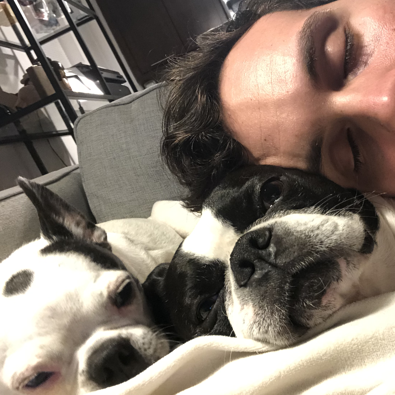 Nap time with our foster pups, Perry and Gizmo.