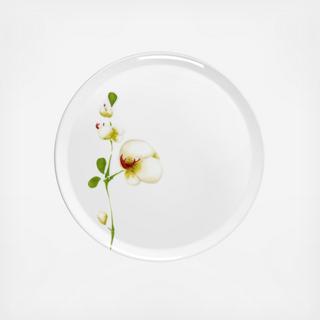 Yaka Paradis Dessert Plate