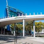 Georgia Aquarium