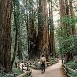 Muir Woods National Monument