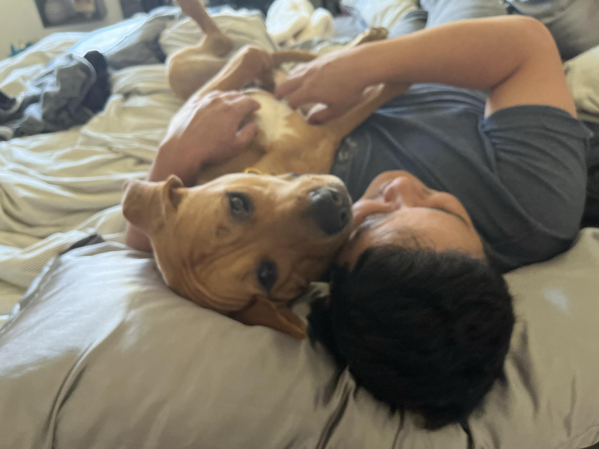 Ube making himself at home 
March 2022