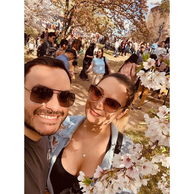 Enjoying the beautiful Cherry Blossoms in DC!