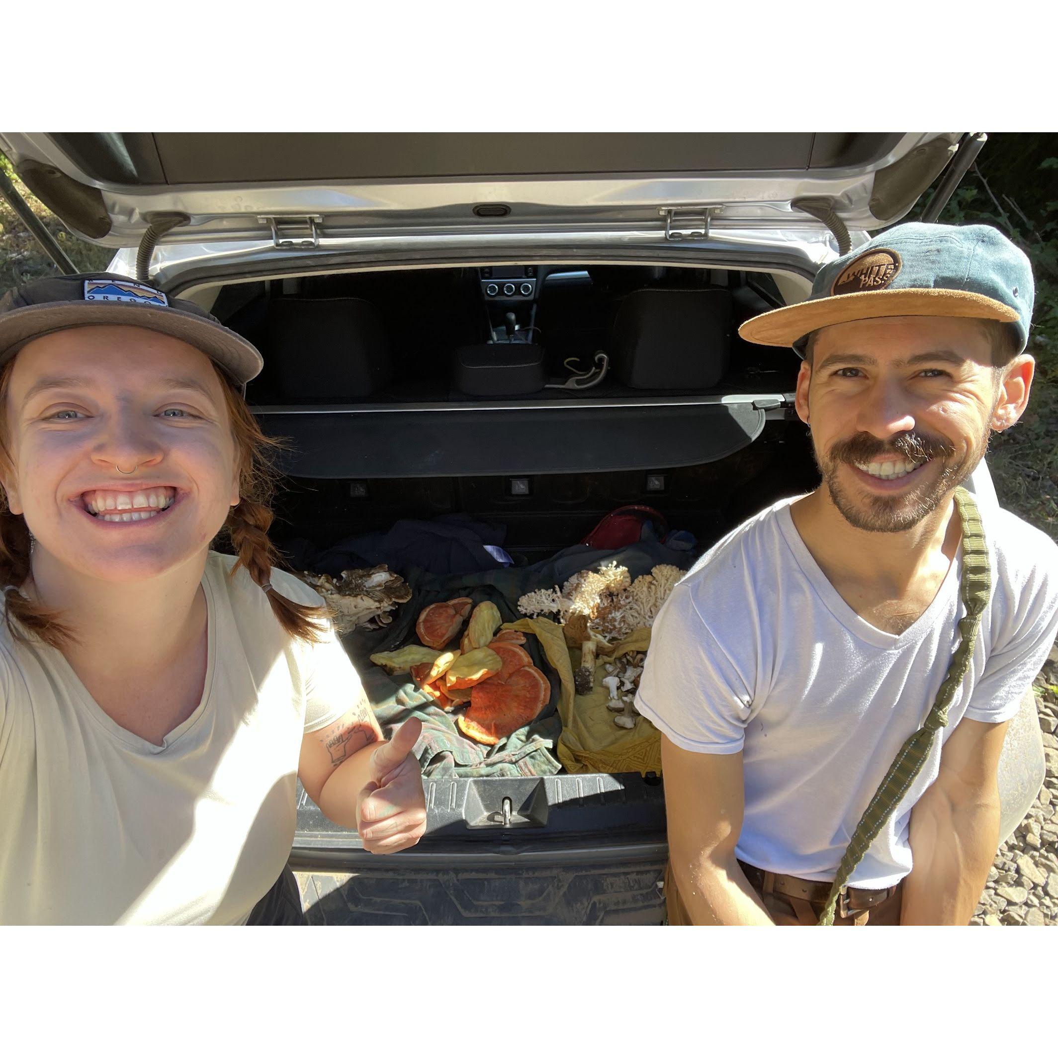 An accidental mushroom foray. Best hunt Al has ever had. Mushrooms to last us for a year!