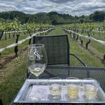 Three Fox Vineyards & Farm Brewery