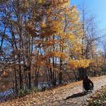 Kennebec River Rail Trail